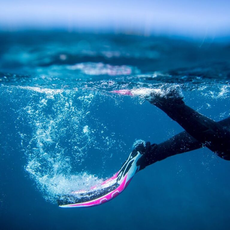 Las Mejores Aletas de Buceo: Guía de Compra