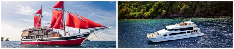 Phinisi o barco de acero: cuál elegir para tu liveaboard en Komodo y Raja Ampat